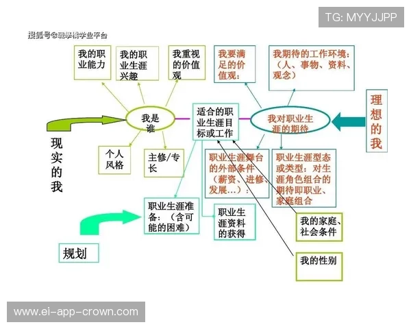 杜埃职业规划争议：发展路径与定位合理性分析